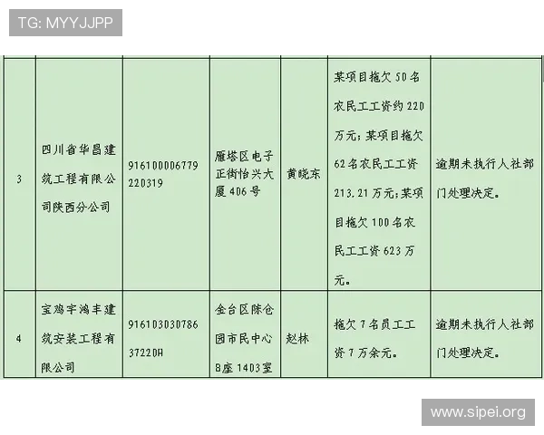 AG视讯厅官方地址公告大全，官方权威渠道查询与防伪识别详细解析