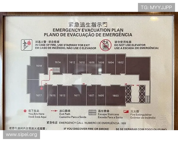 澳门娱乐城最佳娱乐体验指南:丰富游戏选择与高端服务推荐